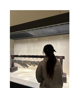 174047 705222 image003